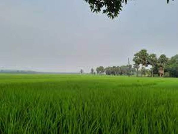 National Generic Document Registration System