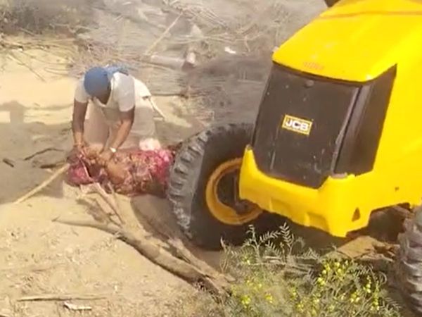 Women fight fiercely in land dispute in Barmer, JCB also attacked, watch video