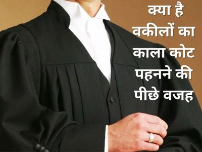 lawyer