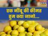 Lemon Price increased in India more than apple, nimbu ka bhav kitna hai