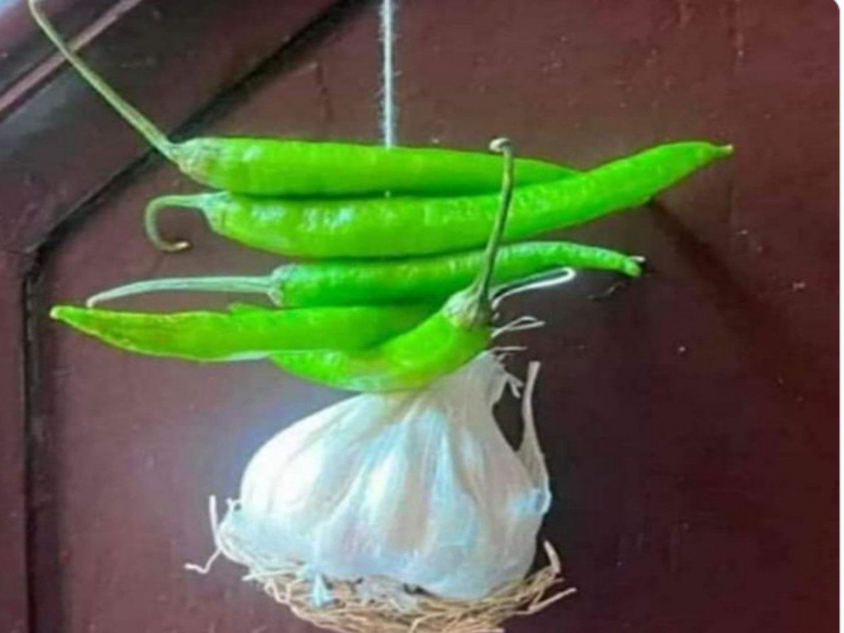Viral Pic: सोशल मीडिया पर वायरल हुई ये मजेदार तस्वीर, लोग बोले- 'नींबू की गजब बेइज्जती है यार'