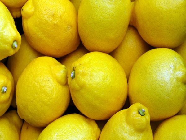 Price of lemon, Price of lemon in wholesale price, Price of lemon in retail market, Effect of weather on lemon production