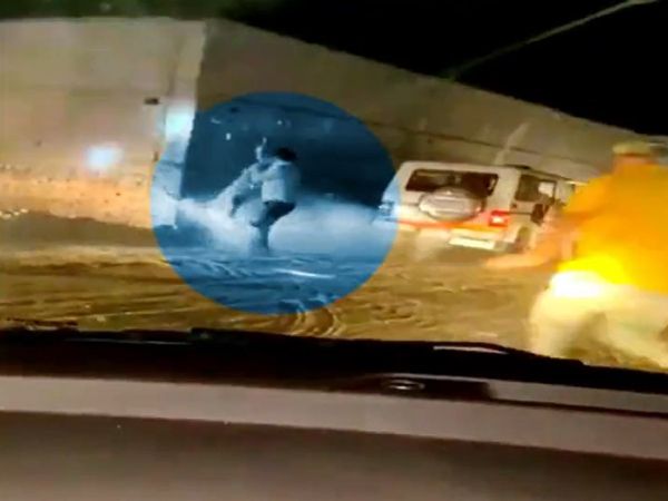 panipat leopard video