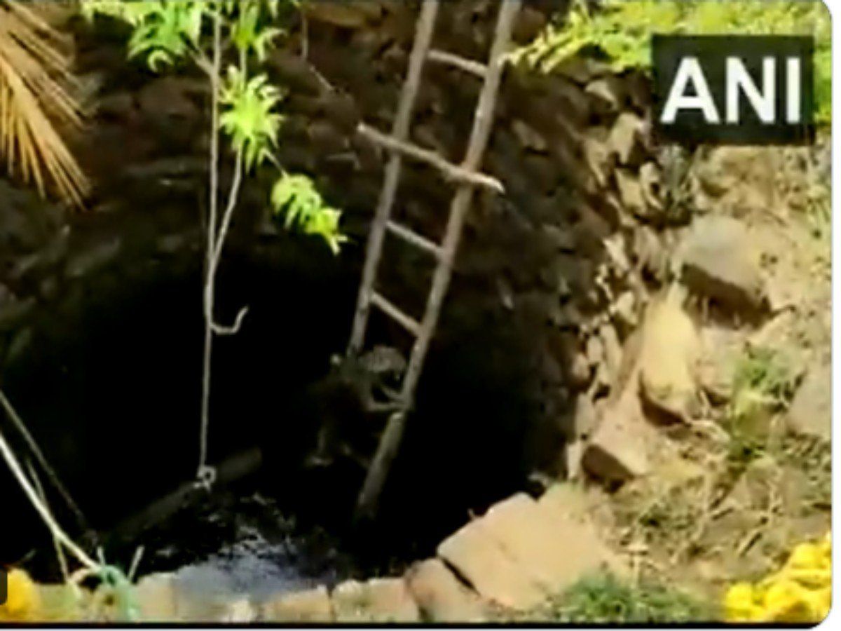 कुएं में गिर पड़ा था तेंदुआ, इस तरह अनोखे अंदाज में निकाला गया बाहर, देखें वीडियो