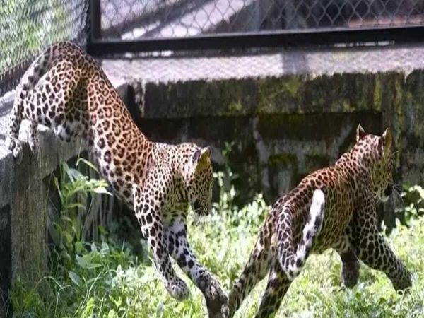 Jaipur Tourist Place