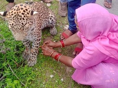 rakhi