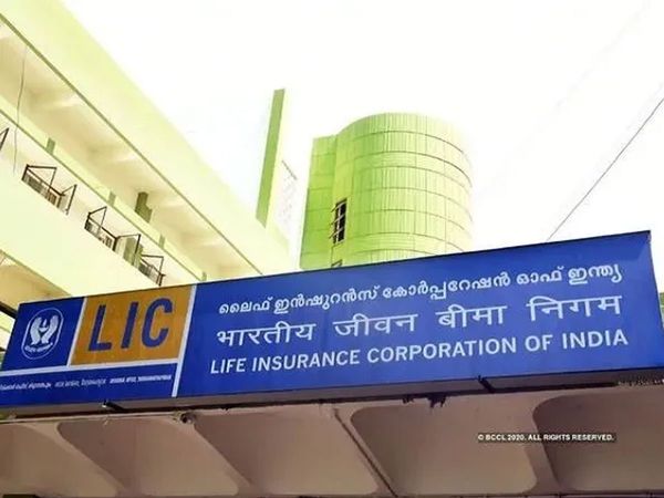  LIC Policy
