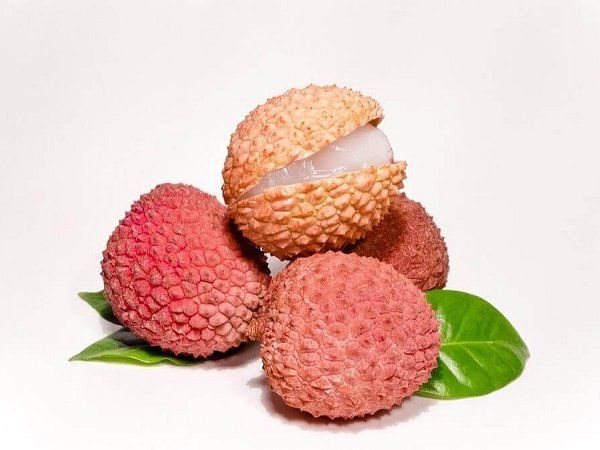 litchi side effect