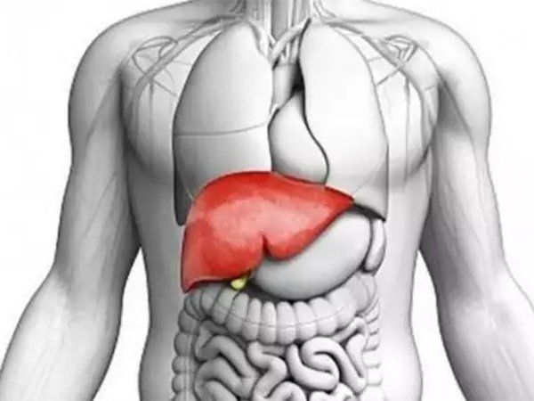  Son Donate Liver to father