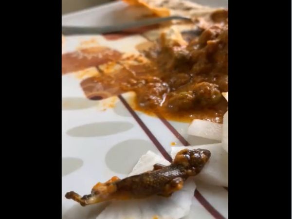 Lizard Found in Online Food in greater noida Shocking Video Goes Viral