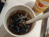Dead lizard in McDonald cold drink Case AMC imposes Rs 1 lakh penalty on outlet