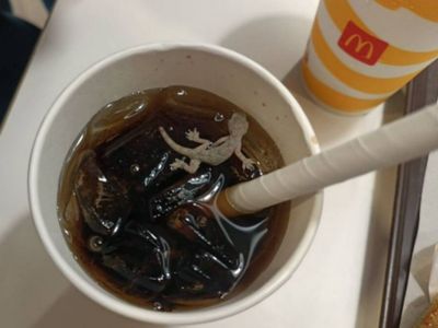Dead lizard in McDonald cold drink Case AMC imposes Rs 1 lakh penalty on outlet Dead lizard in McDonald cold drink Case AMC imposes Rs 1 lakh penalty on outlet
