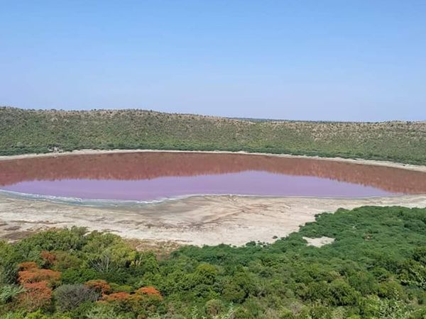 Maharashtra Lonar Lake Turns Pink, Locals Surprised At Overnight Change