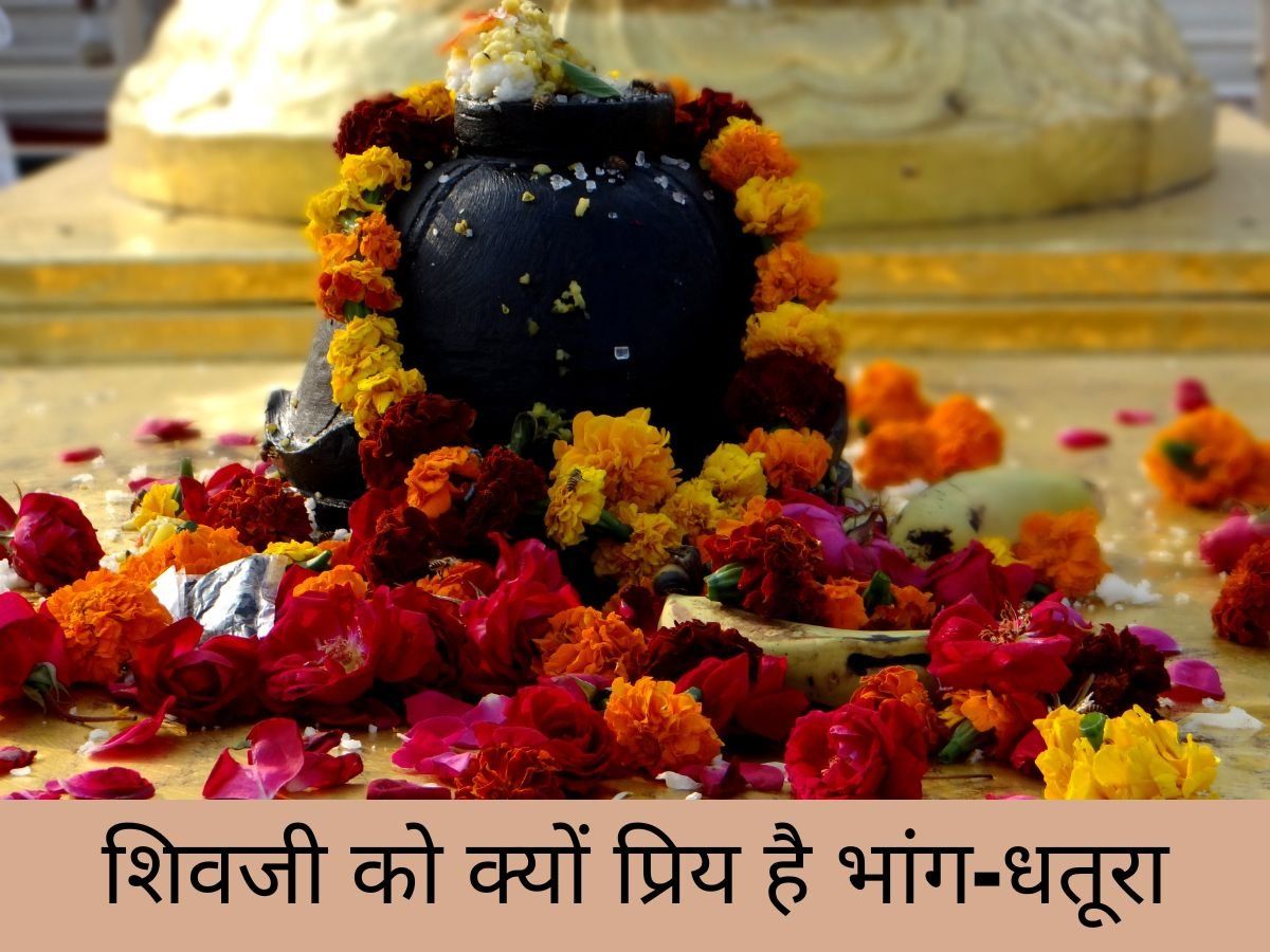 Sawan 2022: शिव को क्यों प्रिय है सावन का महीना, महादेव को प्रसन्न करने के लिए चढ़ाएं भांग और धतूरा
