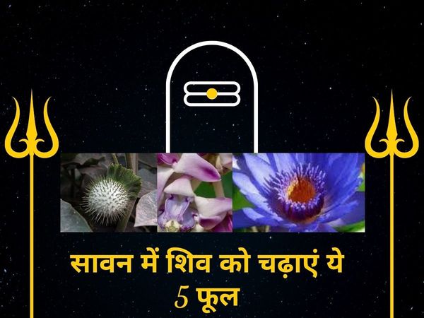 shiv flowers benefits