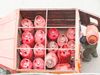 lpg cylinder price in delhi, lpg cylinder price in mumbai, lpg cylinder price in kolkata, lpg cylinder price in chennai