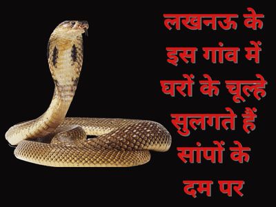 Lucknow News Lucknow News