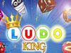 How to play Ludo King