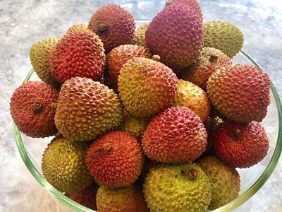 Lychee Lychee