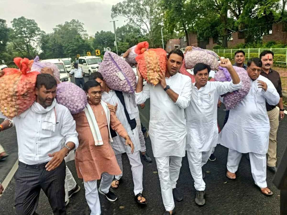 'बीजेपी विधायक खरीद सकती है, लेकिन किसानों की फसल नहीं', कांग्रेस विधायकों ने लहसुन के साथ किया प्रदर्शन