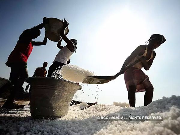 Why government wants comprehensive reform in labor laws, know details