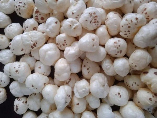 Makhana, Mithila bihar, GI Tag