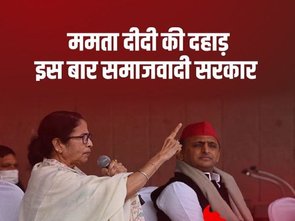 Assembly Elections 2022, UP Assembly Elections 2022, Mamta Banerjee, Samajwadi Party, Akhilesh Yadav