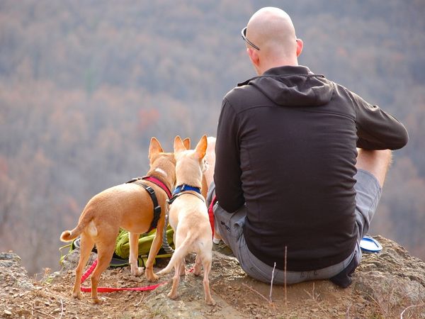 शादी के बाद पता चला पति है गंजा, पुलिस के पास पहुंची पत्‍नी