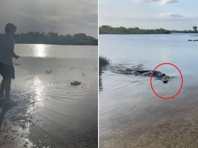 CROCODILE CROCODILE