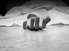 man killed wife in indore