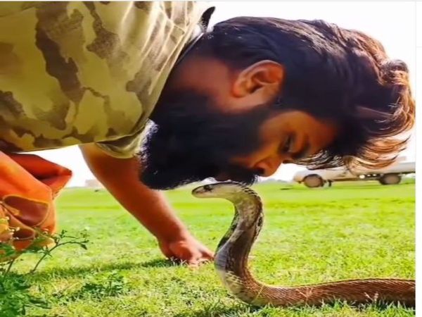 Snake Video Man Kiss To Snake Viral Video in Hindi
