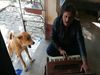 man practised on harmonium dog accompanied him