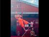 Stunt Video Man Stand on Stick Watch Shocking Video Share on Social Media