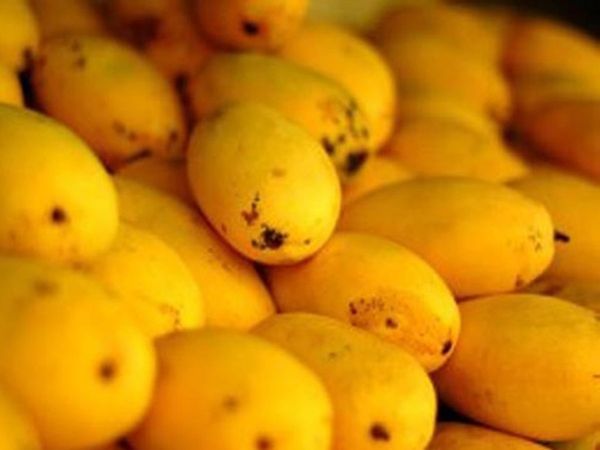 Mango farmers in Malihabad say they are facing losses due to lockdown & hailstorm