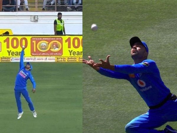 manish pandey and rashid khan catch