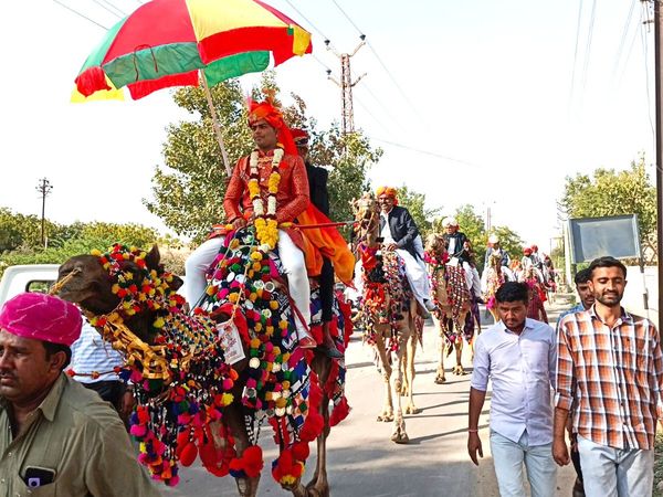 marriage on camel