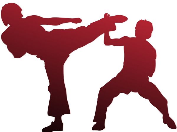 martial arts trained us woman