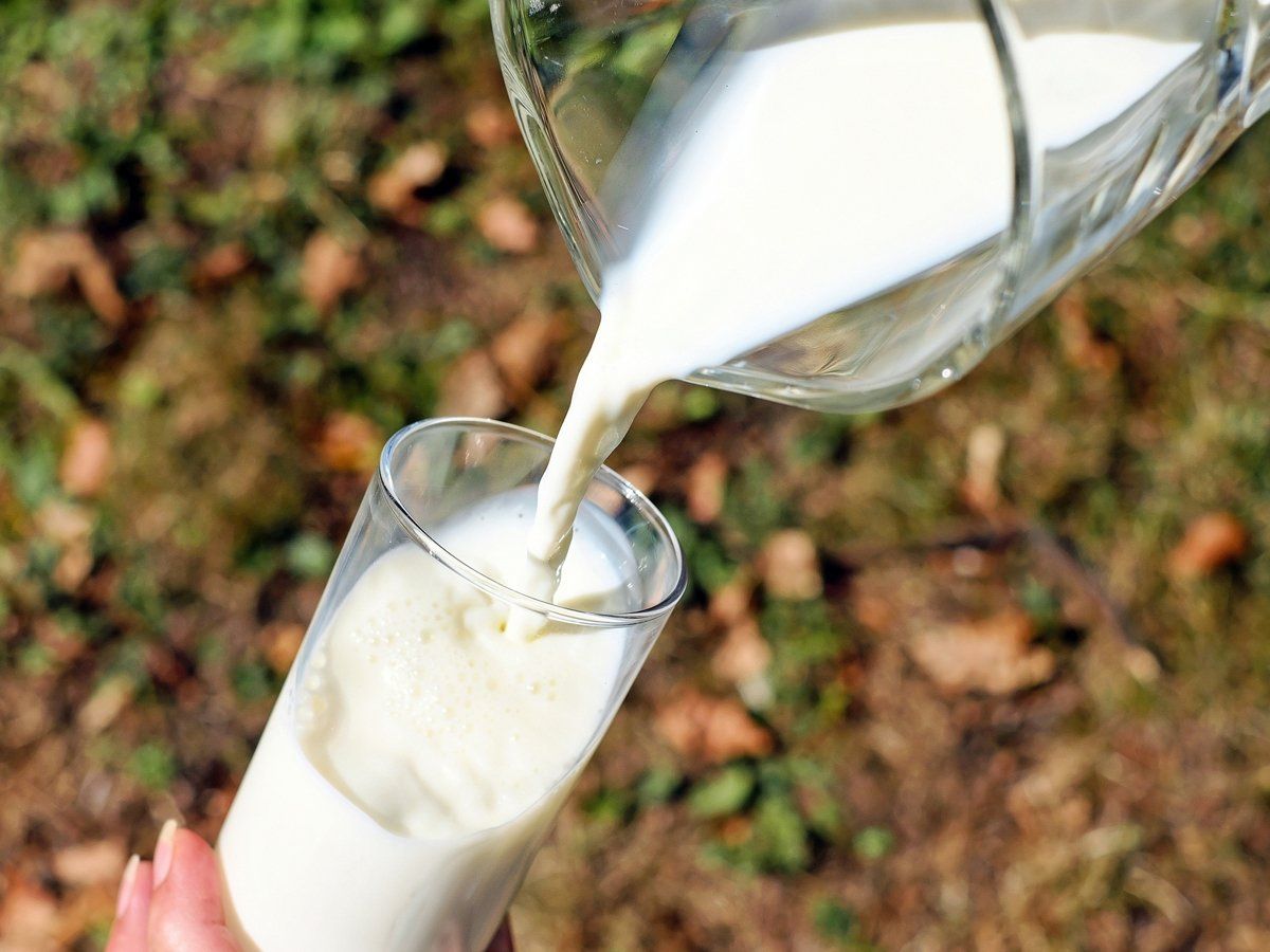 Milk price : दूध की खपत घटी, किसानों को नहीं मिल रहा है उचित भाव, सस्ते में बेचने पर मजबूर