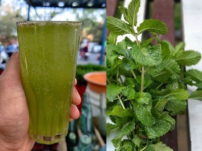 Mint Water