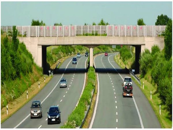 The new lane of Mithapur is ready