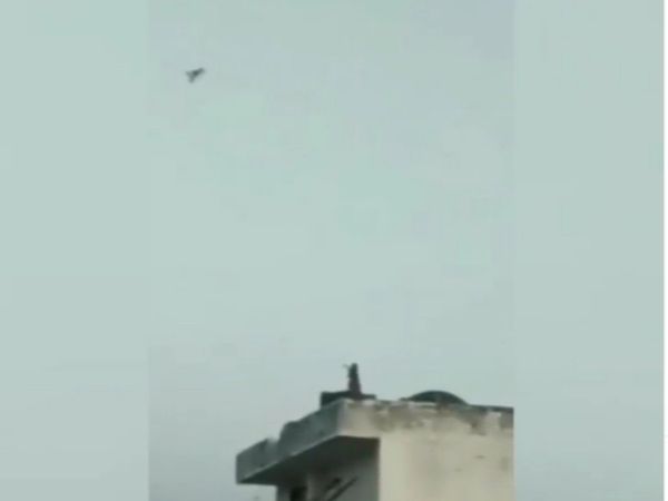 Monkey Funny Video monkey was flying a kite in roof Viral Video