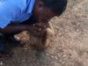 Monkey Video Man Save Monkey Life Video Goes Viral 