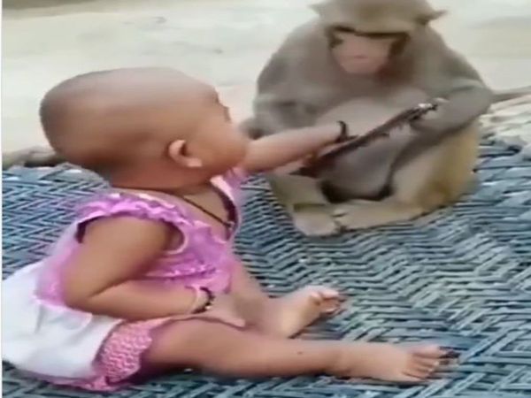Monkey Kid Funny Video Monkey And Baby Girl Cute Viral Video