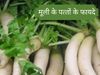 Radish Leaves Benefits For Health, Radish Leaves Benefits For Health in hindi, Radish Leaves Benefits For Health Hindi Article, radish leaves good for health, मूली के पत्ते के फायदे, मूली के पत्ते खाने के अनेकों फायदे है, मूली के पत्ते के फायदे