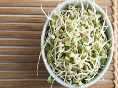 moong sprouts moong sprouts