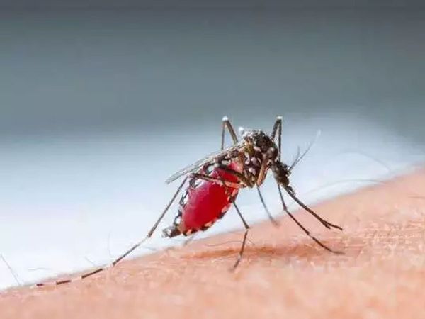 Malaria Prevention