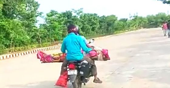 The Helpless Son Took The Mothers Body 80 Km On The Bike In Shahdol Madhya Pradesh शर्मनाक 4850