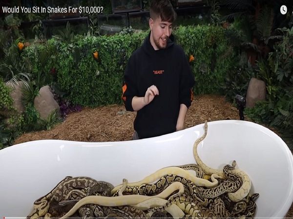 Snake Tub: 30 सेकेंड में 10 हजार डॉलर की कमाई, क्या आप ऐसा काम कर सकते हैं