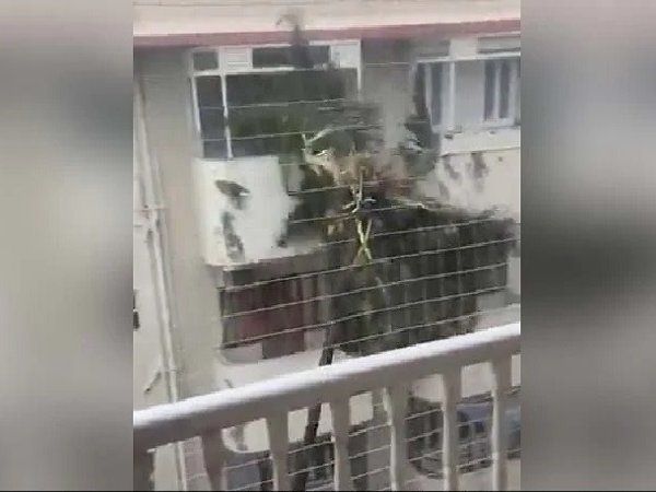 Video में देखें प्रकृति का 'तांडव', मुंबई बारिश का ये वीडियो सोशल मीडिया पर खूब हो रहा वायरल