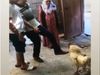 Viral Video Rooster funny dance video goes viral on social media netizens loved it